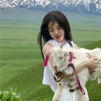 古惑仔情义篇之洪兴十三妹